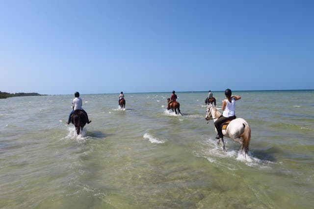 A horse safari holiday in Mozambique