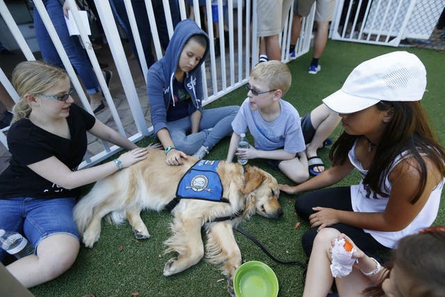 Children pet Jacob the comfort dog