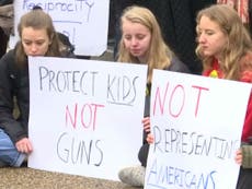 Top Florida Republican unveils gun control plan after school shooting