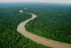 Peru moves to protect 'one of the last great intact forests'