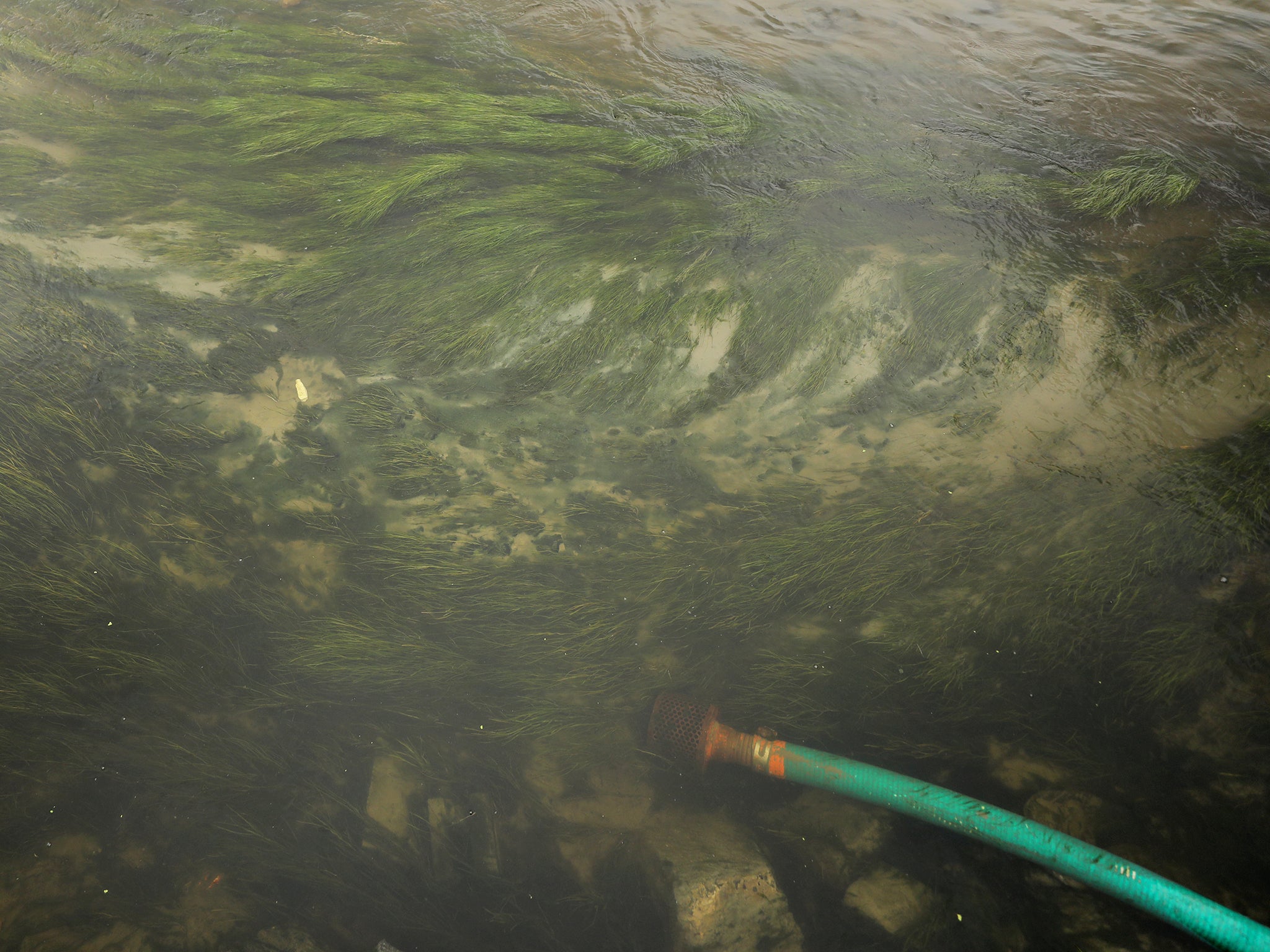 A pipe used to pump water lies in the polluted Kuils river