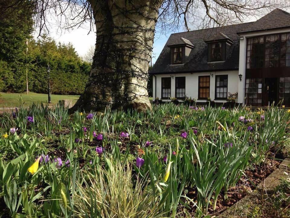 The Curragh Lawn Nursing Home is located in Co. Kildare, Ireland