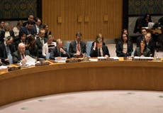 UN Security Council unanimously backs ceasefire in Syria