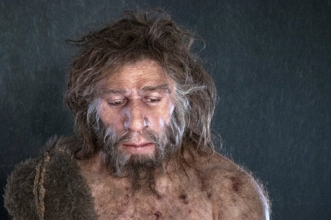 A reconstruction of a Neanderthal male based on a skull discovered in Iraq (Sebastien Plailly/Elisabeth Daynes/Science Source)