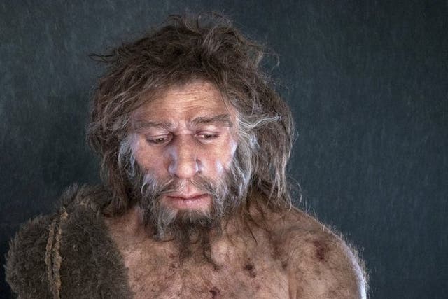 Teeth discovered in northern Italy are thought to belong to early ancestors of Neanderthals