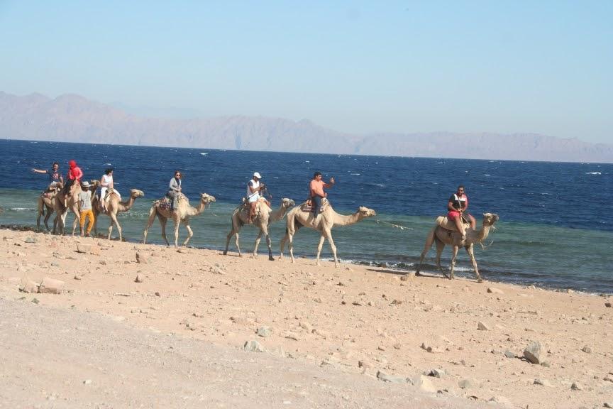Long known as a laid-back backpacker town, Dahab is becoming more developed and tourist-centric