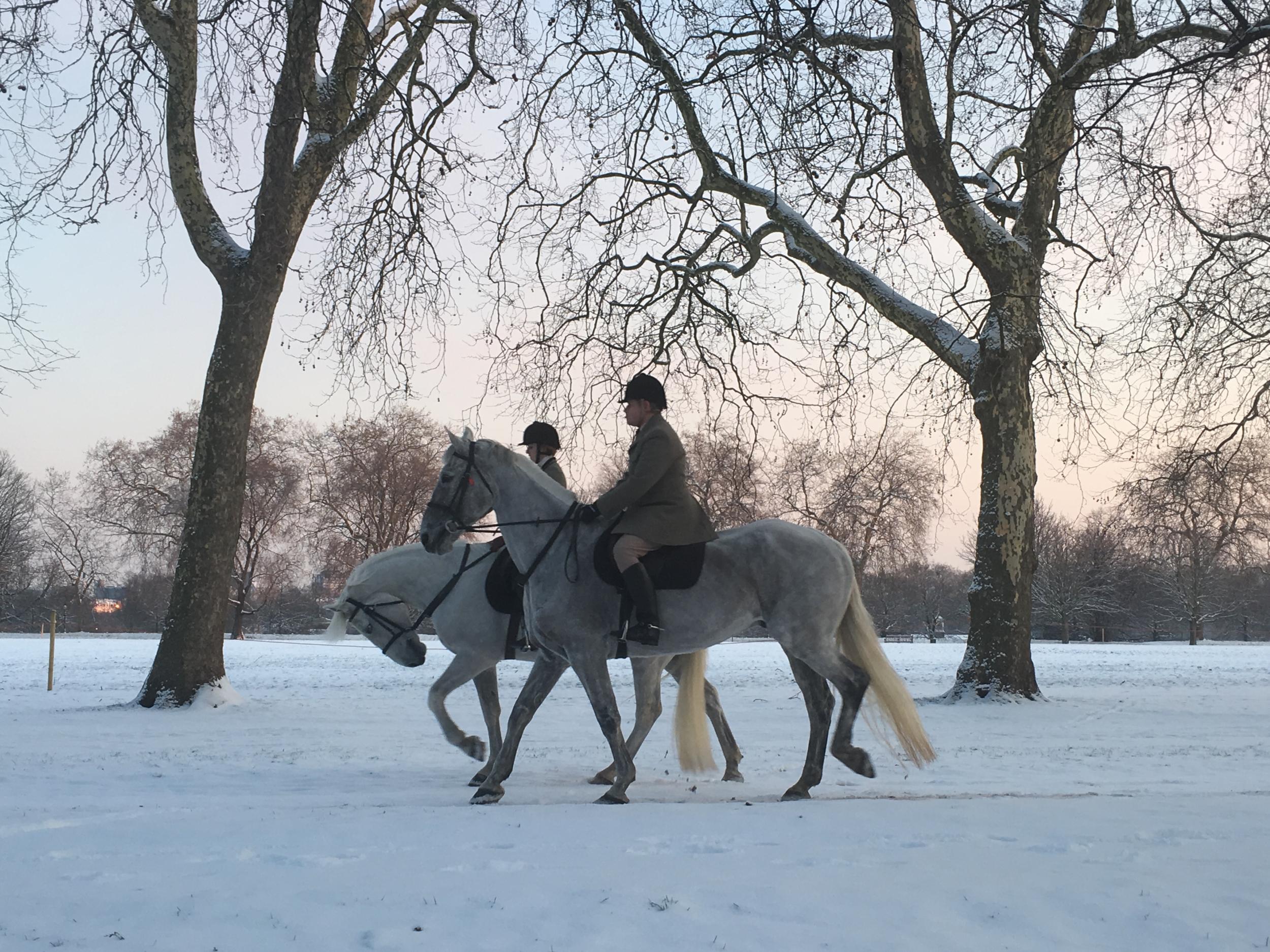 Horse power: riders in Hyde Park, London