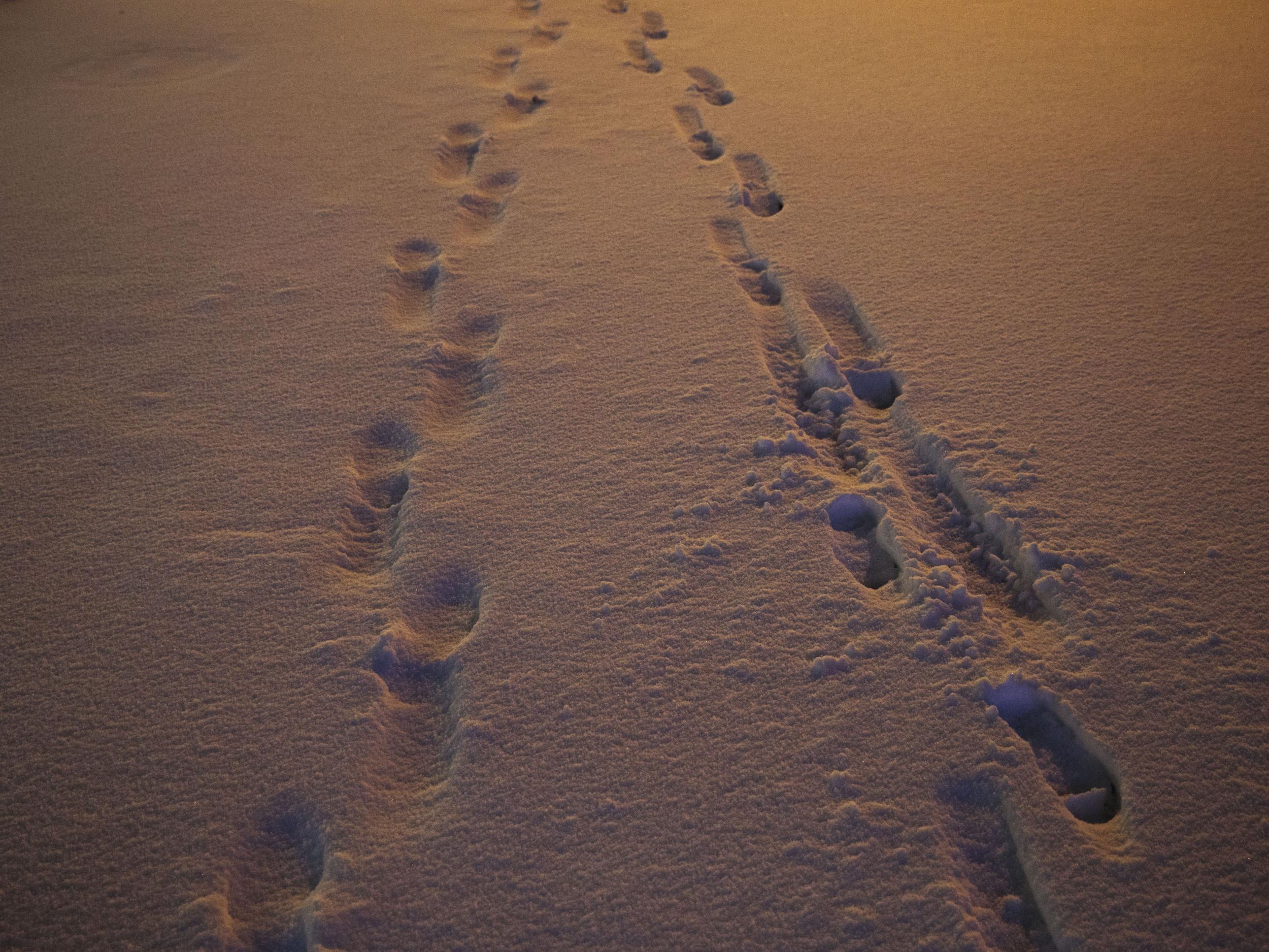 Officers tracked the men using footprints (File photo)