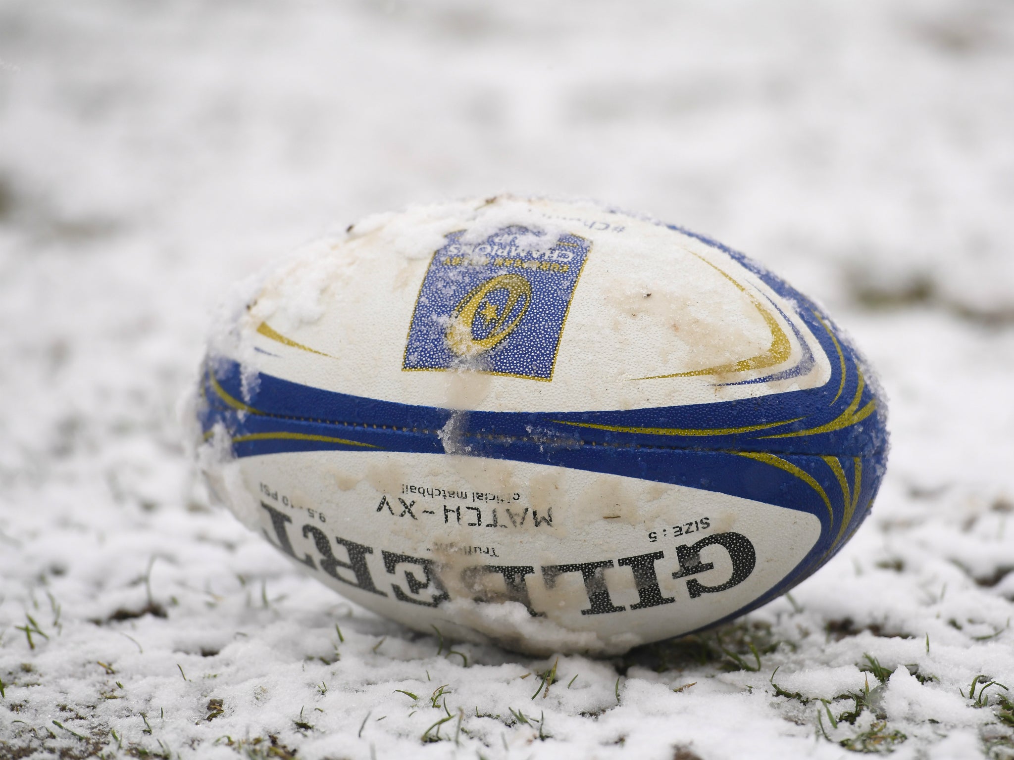 Premiership games are likely to go ahead but the Pro14 games have already been called off