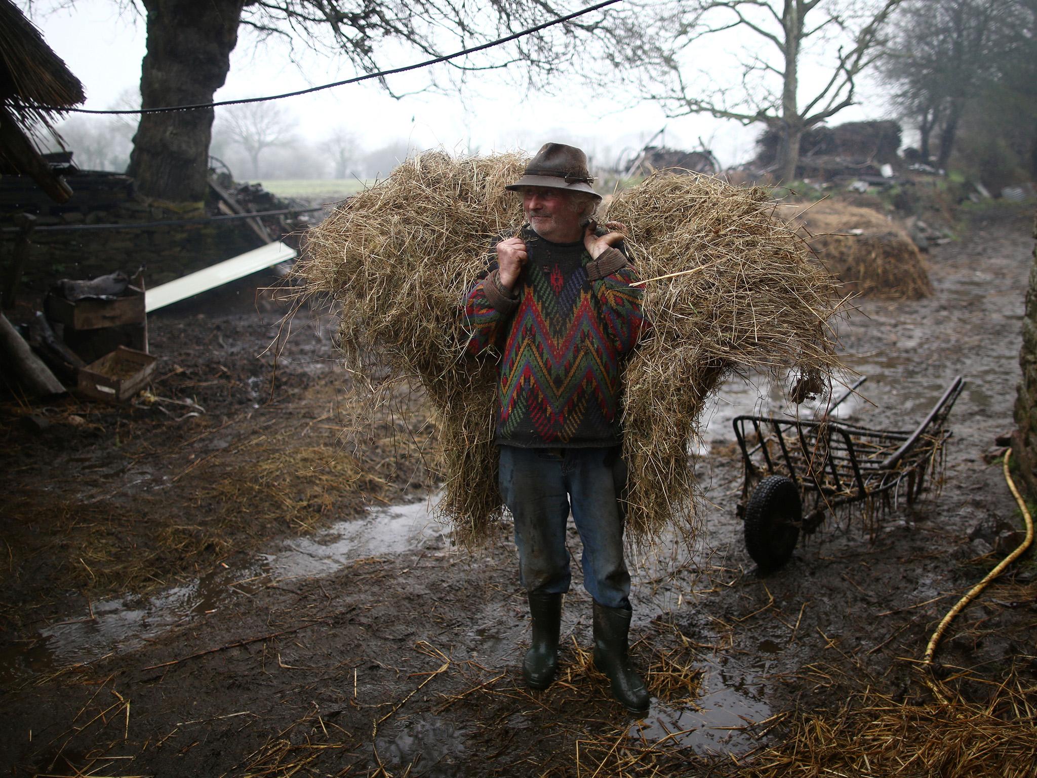 Still doing it the old-fashioned way: Huon carrying hay on his Breton farm