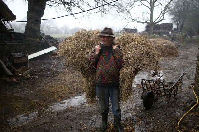 Still doing it the old-fashioned way: Huon carrying hay on his Breton farm