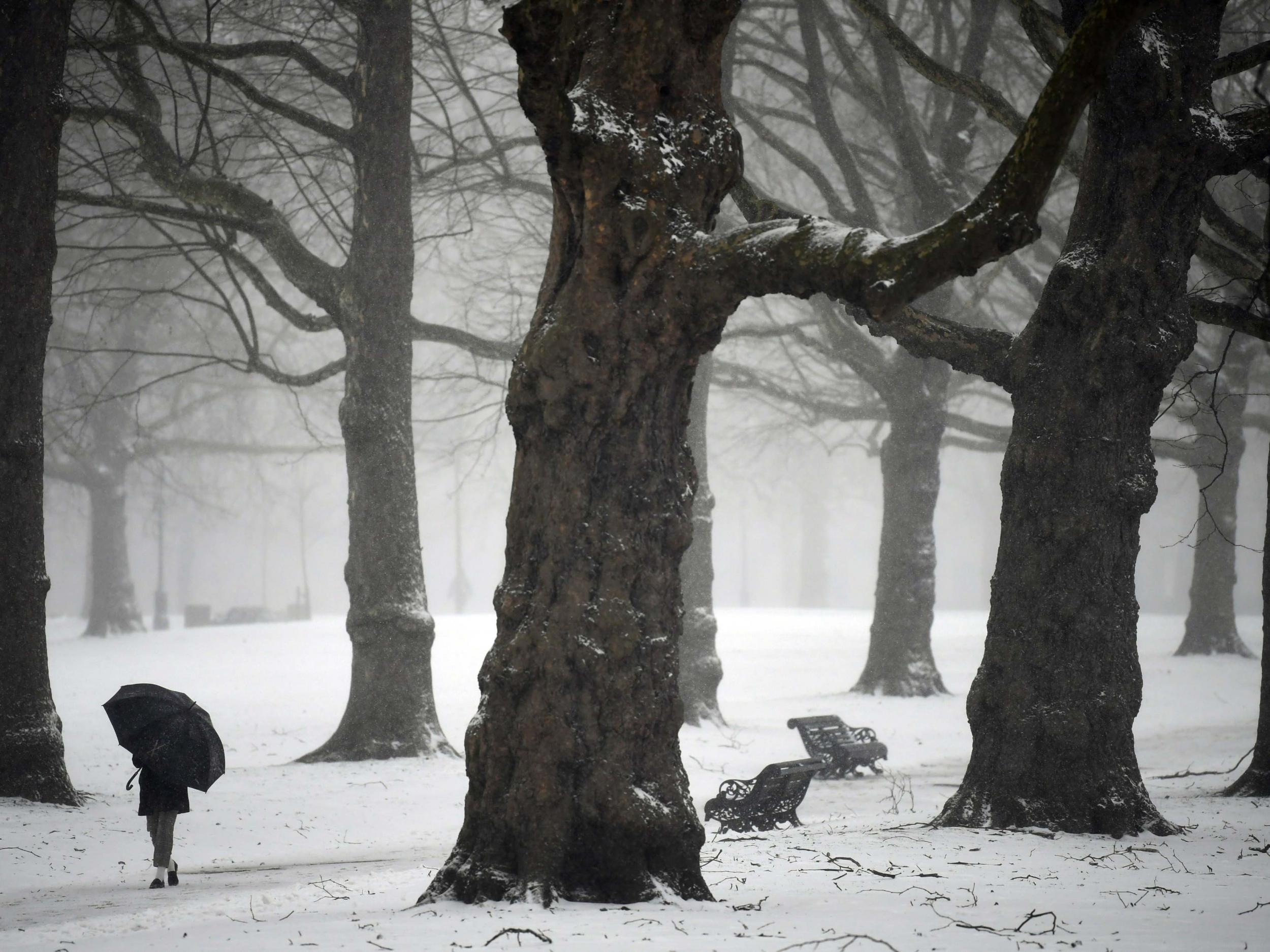 A pedestrian walks through Green Park during a snow fall in London, Britain