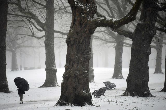 A pedestrian walks through Green Park during a snow fall in London, Britain