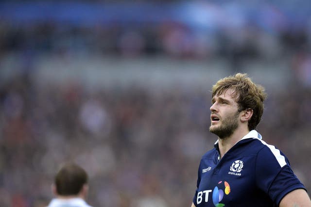 Richie Gray is back in contention for Scotland