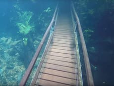 Heavy rains turned hiking trail in Brazil into an underwater paradise