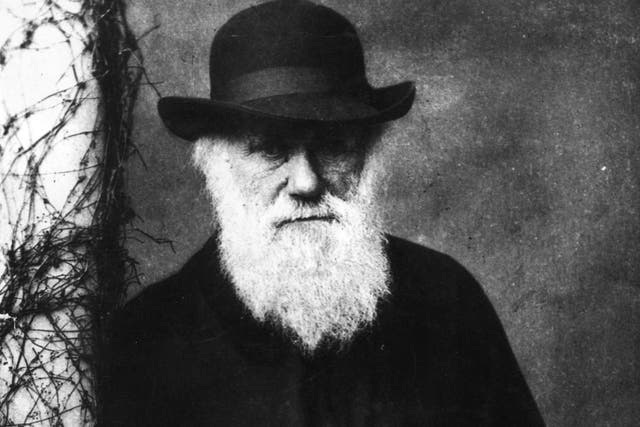Charles Darwin, c1880, is a major figure in the formulation of the theory of evolution