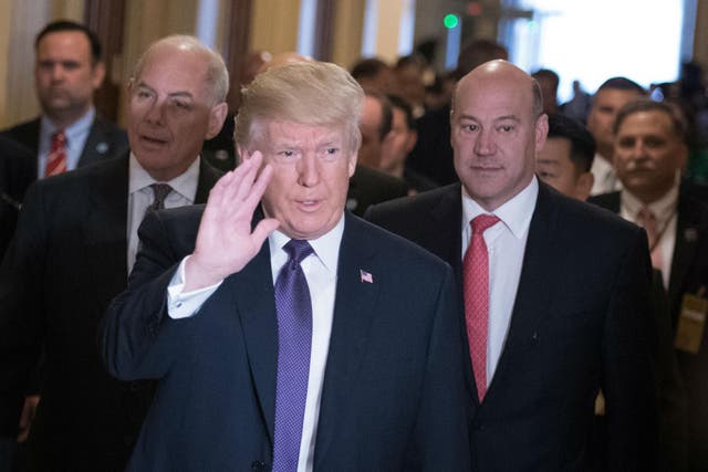 Mr Cohn tried to persuade the President that tariffs would hurt the country