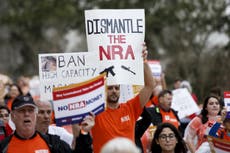 Florida passes gun control bill but fails to ban assault-style weapons