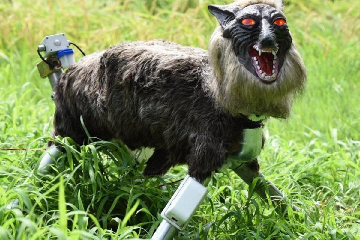 https://static.independent.co.uk/s3fs-public/thumbnails/image/2018/03/09/13/robot-wolves.jpg?width=1200&height=800&crop=1200:800