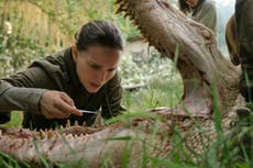 Annihilation Ending Too Weird How Mother Cost The Film An International Theatrical Release The Independent The Independent