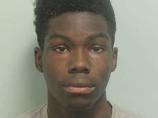 Teenager jailed for 10 and a half years for London acid attack spree