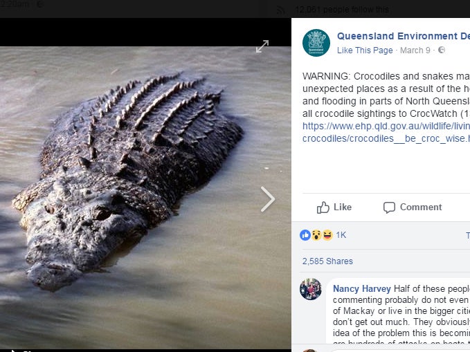 Queensland Environment Department warned that crocodiles and snakes could turn up unexpectedly