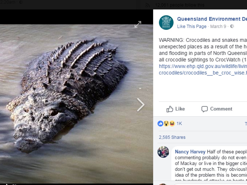 North Queensland residents hit by flash floods warned about crocodiles ...