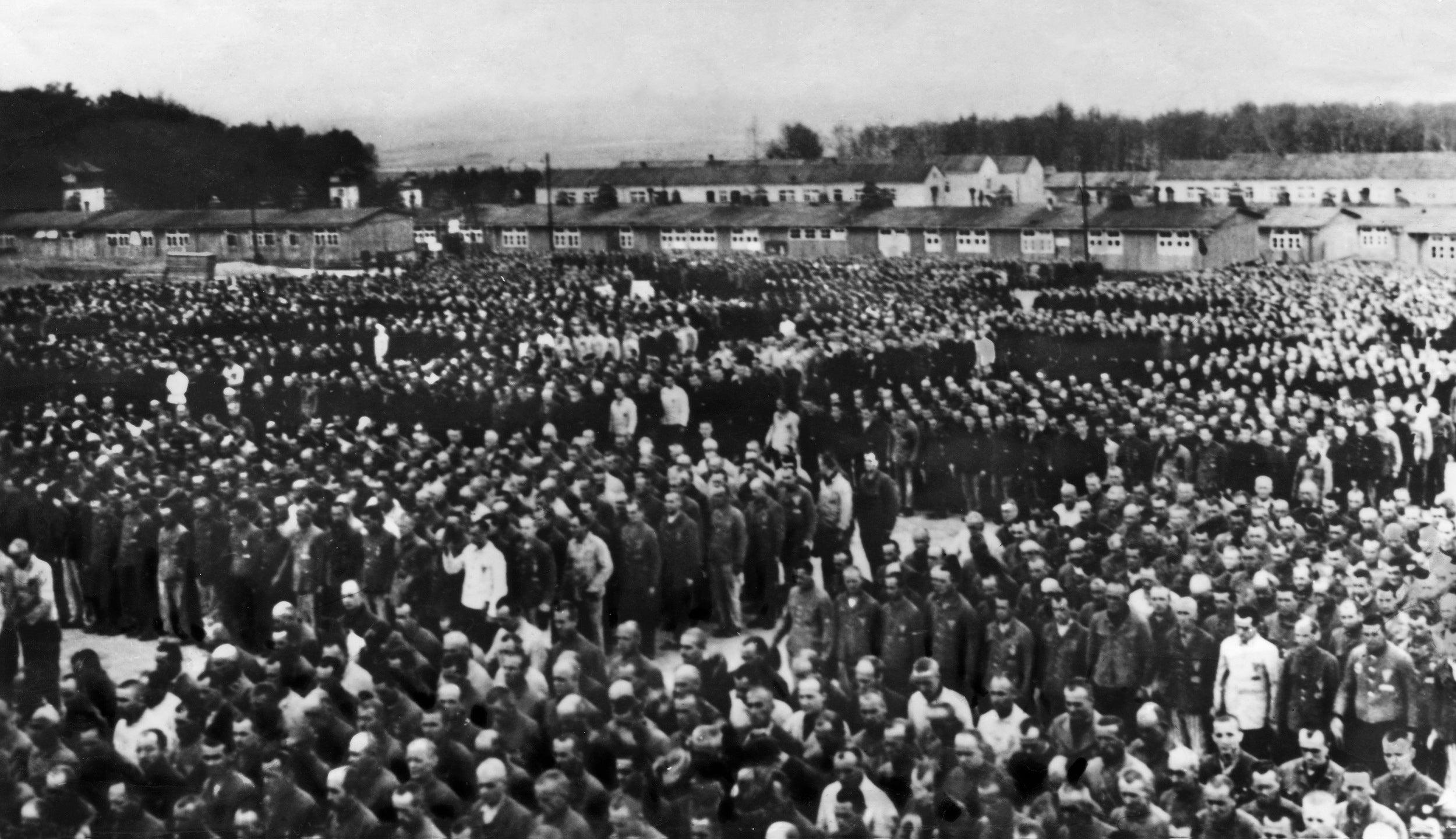 In Sachsenhausen?concentration camp, Jewish prisoners were actually a minority