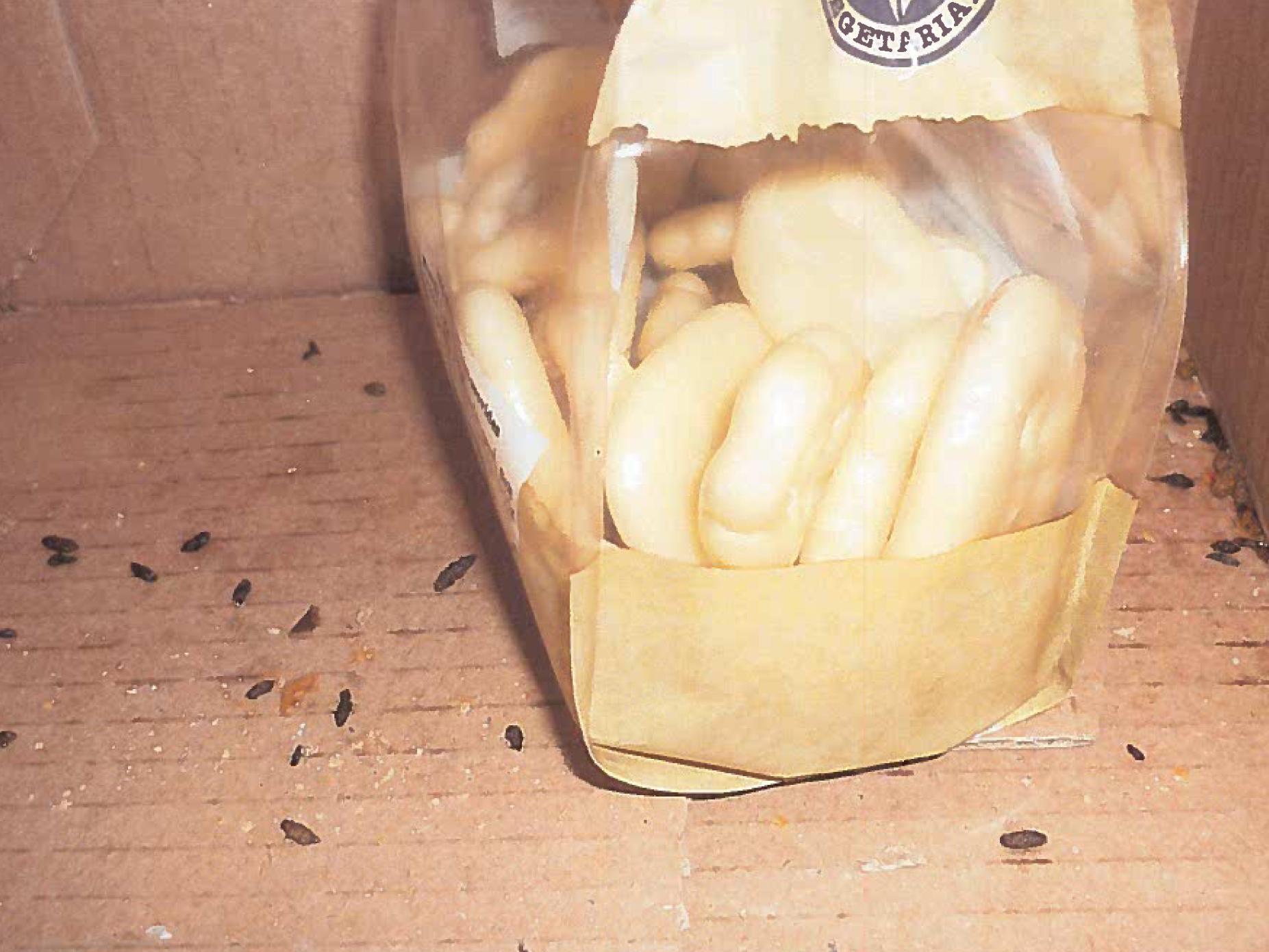 Mouse droppings were found on the floor and among food products at Poundworld in Croydon, south London