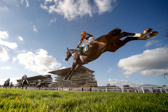 Two horses had to be put down on the first day of the Cheltenham Festival