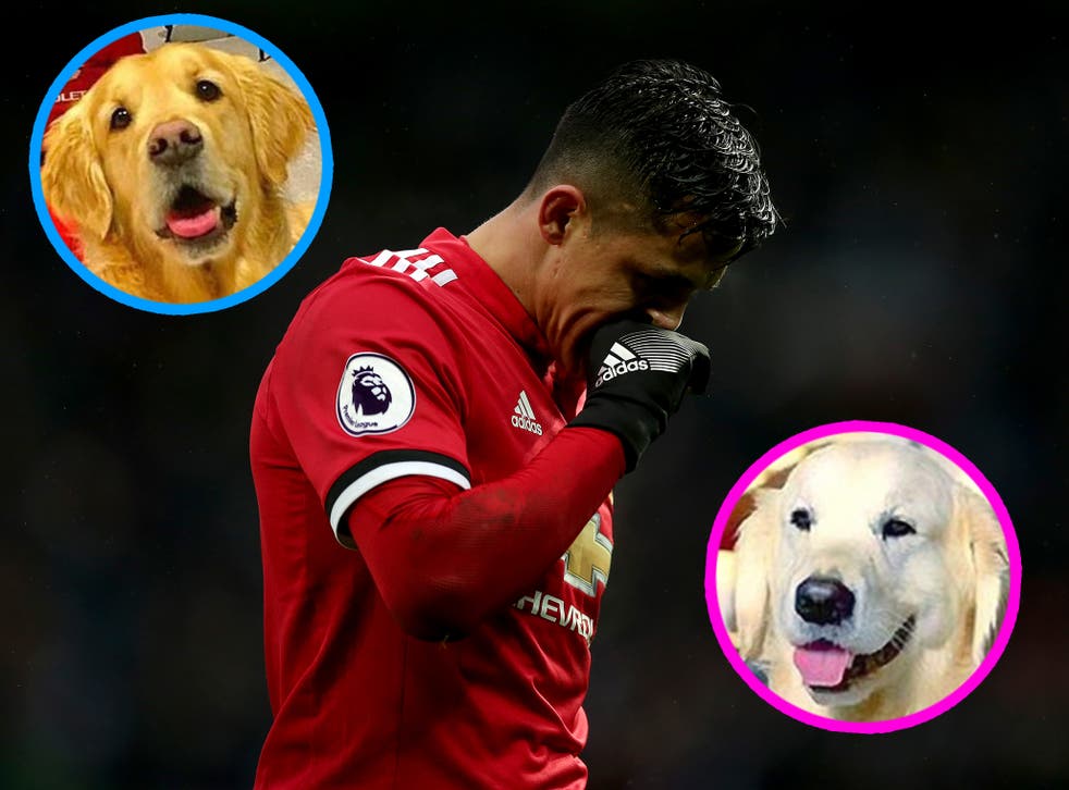 Alexis Sanchez and loyal dogs Atom (left) and Humber