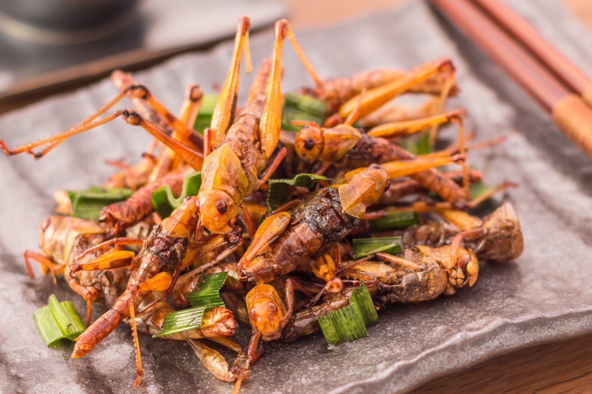 Entomophagy: How giving up meat and eating bugs can help save the planet | The Independent | The Independent