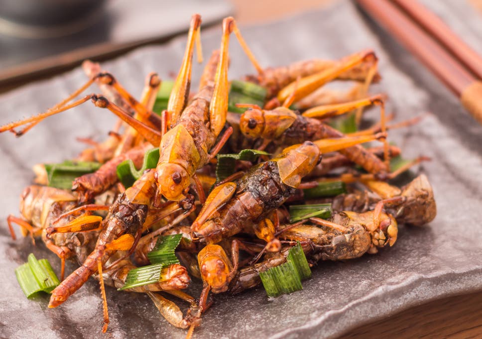 Edible Insects? Lab-Grown Meat? the Real Future Food Is Lab-Grown Insect Meat