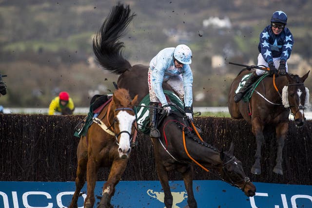 Some Plan was one of the horses put down after the Grand Annual Chase