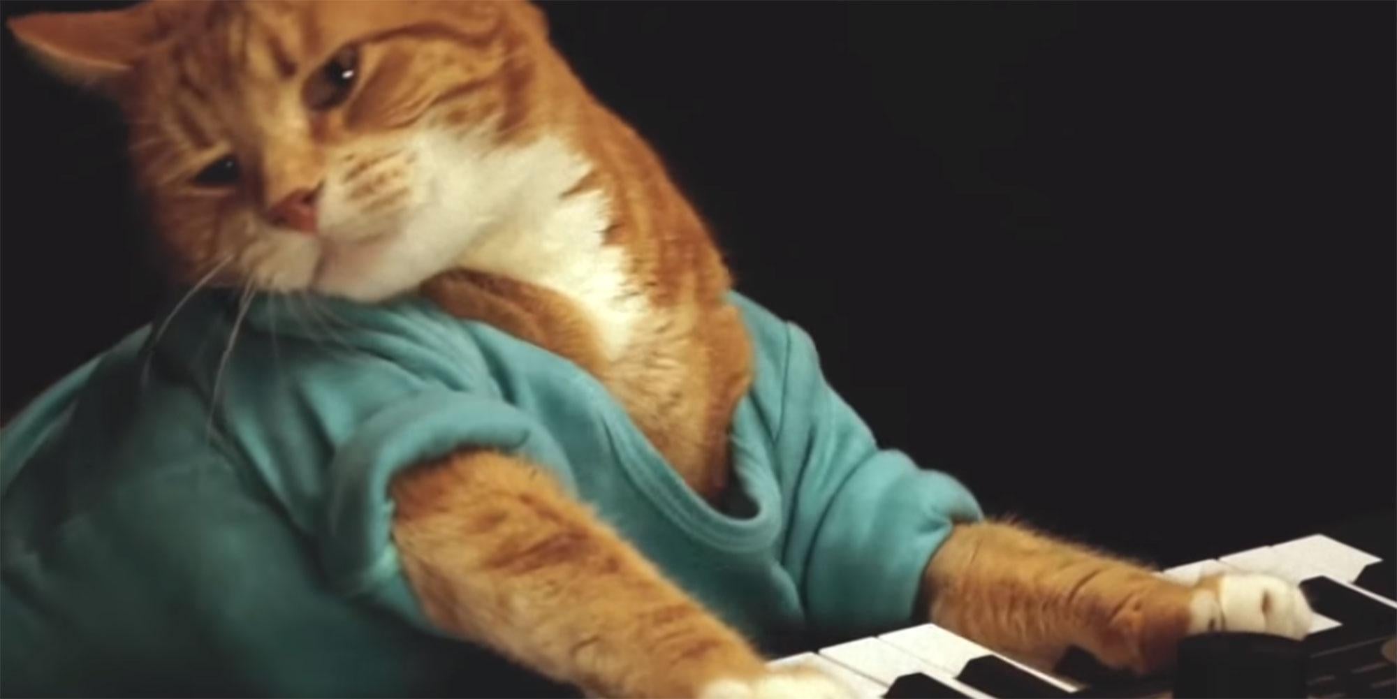 The Keyboard Cat has died and the internet is in mourning 
