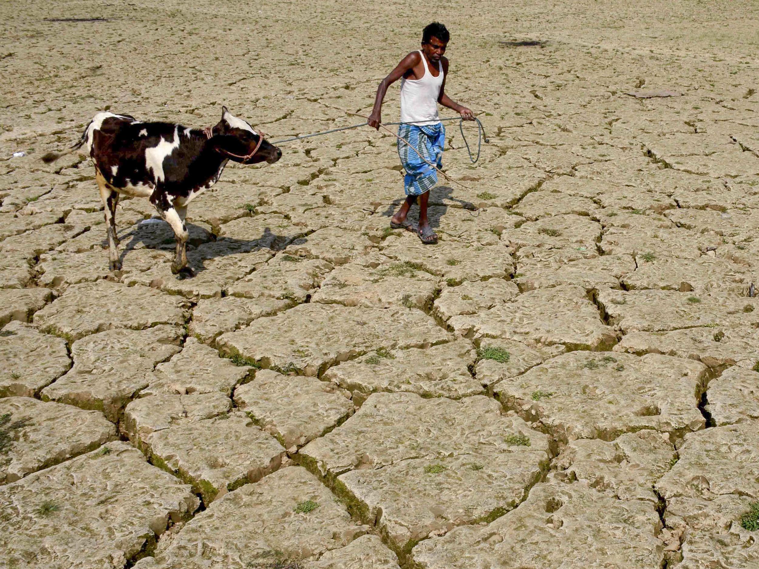 Water scarcity and crop failure are two of the climate change-induced problems that will force people to migrate
