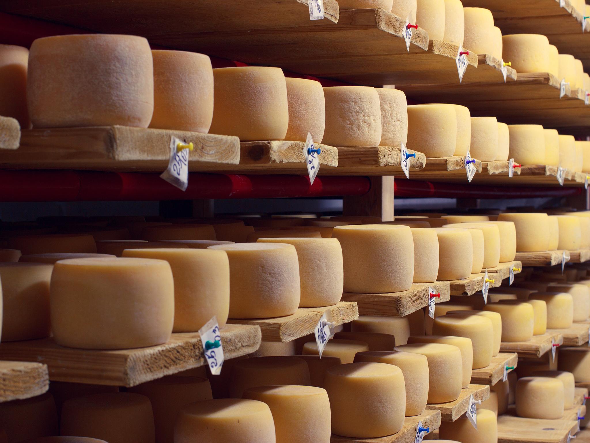 Cheese production could be affected by heat stress on dairy herds which could hit milk yields