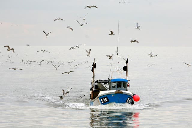 People in the industry say a reduced catch would make conditions ‘extremely challenging’
