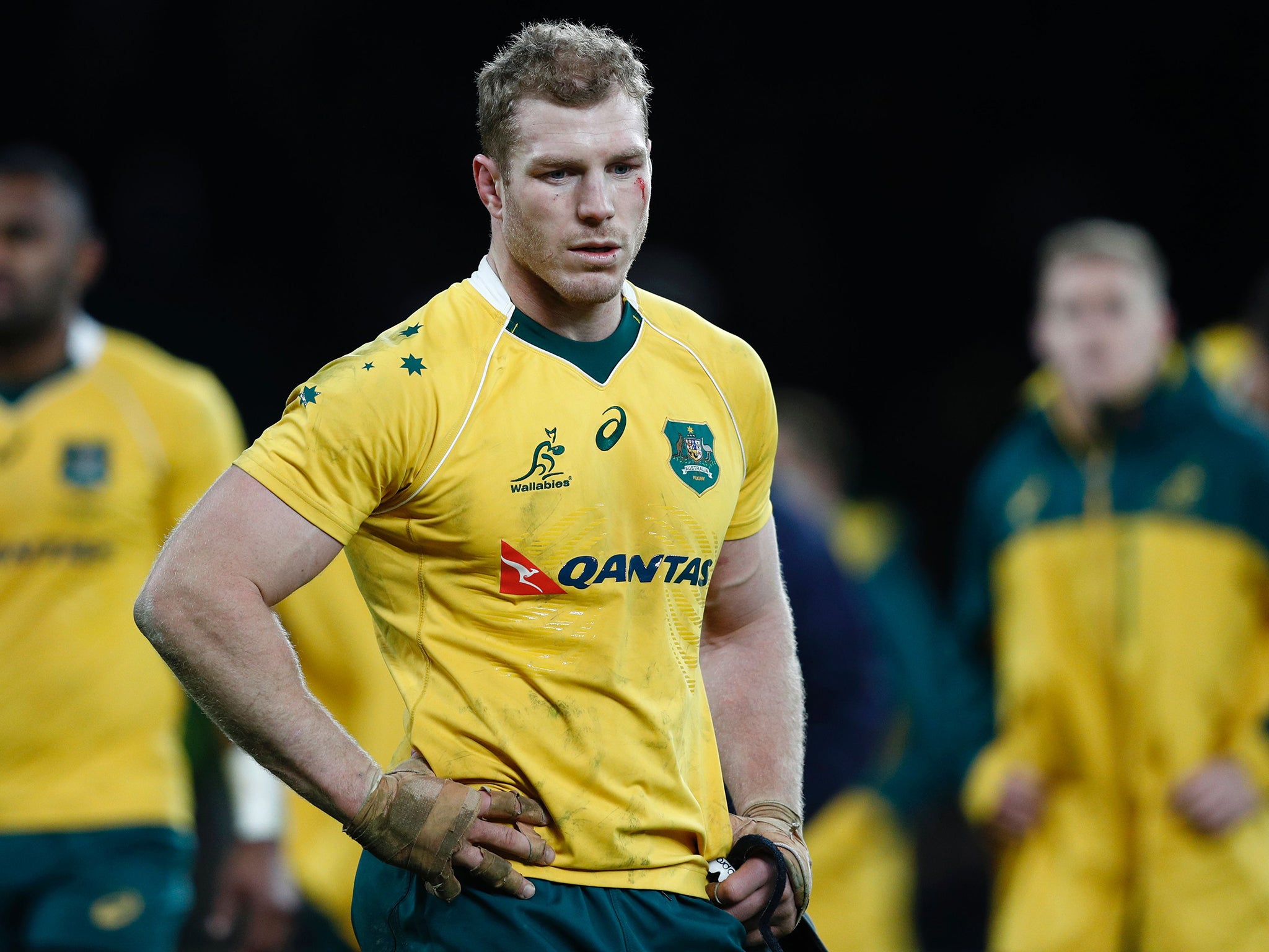 Pocock has not played for the Wallabies since the December 2016 defeat by England