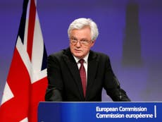 David Davis accuses EU of ‘shooting itself in the foot’