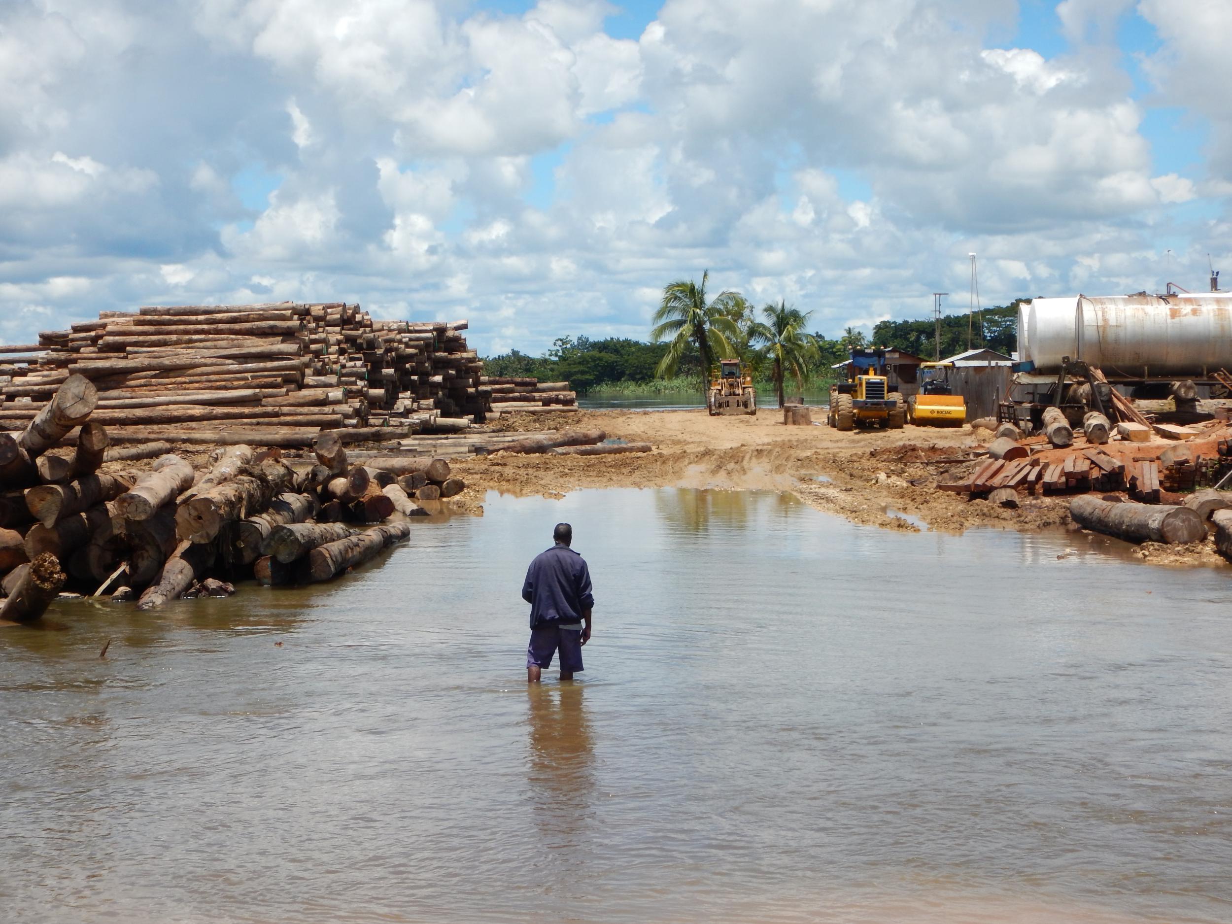 Access to log storage at Sepik River, where logs are loaded on barges carrying them to ships anchored in the Sepik River mouth