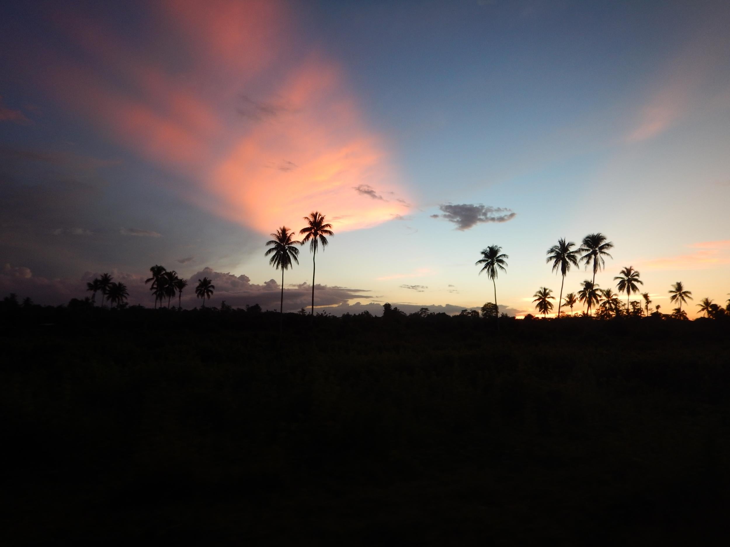 The sun sets on the outskirts of a forest clearance operation in West Sepik Province