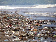 Plastic pollution in sea set to treble in a decade, warn scientists