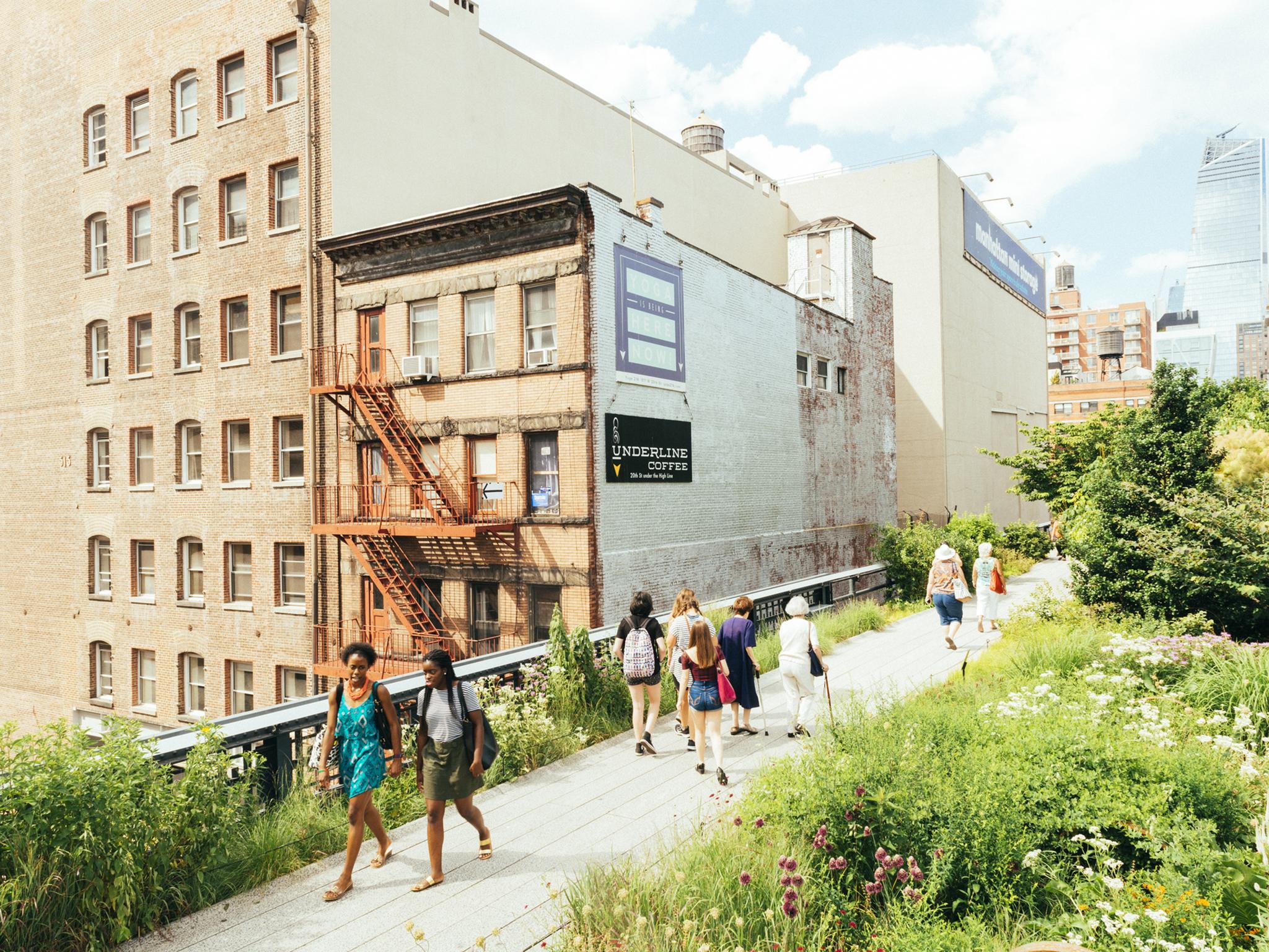 The wildlife in New York’s High Line park was inspired by the plants that had naturally colonised the disused railway viaduct