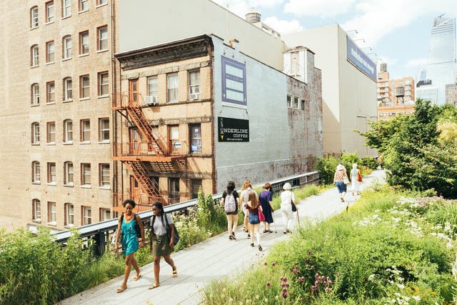 The wildlife in New York’s High Line park was inspired by the plants that had naturally colonised the disused railway viaduct