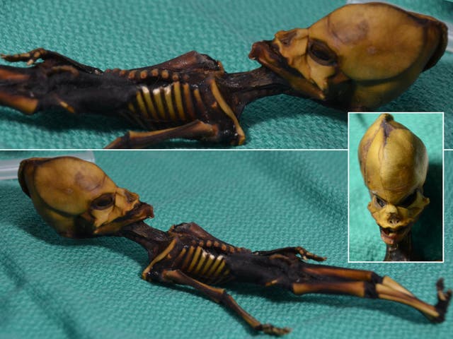 The specimen known as 'Ata' was found in the Atacama region of Chile, and has prompted much speculation among alien enthusiasts