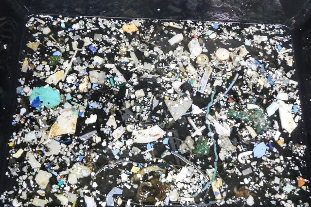In total, the researchers concluded that there are nearly 1.8 trillion plastic particles of all sizes in the Great Pacific garbage patch