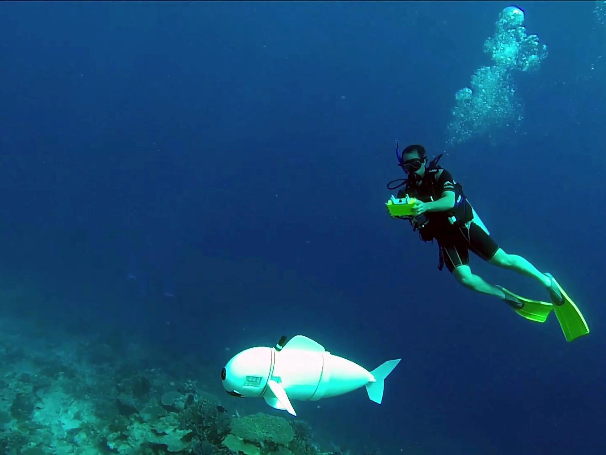 SoFi can swim in the ocean at speeds up to half-its-body-length a second and at depths up to 60 feet below the surface