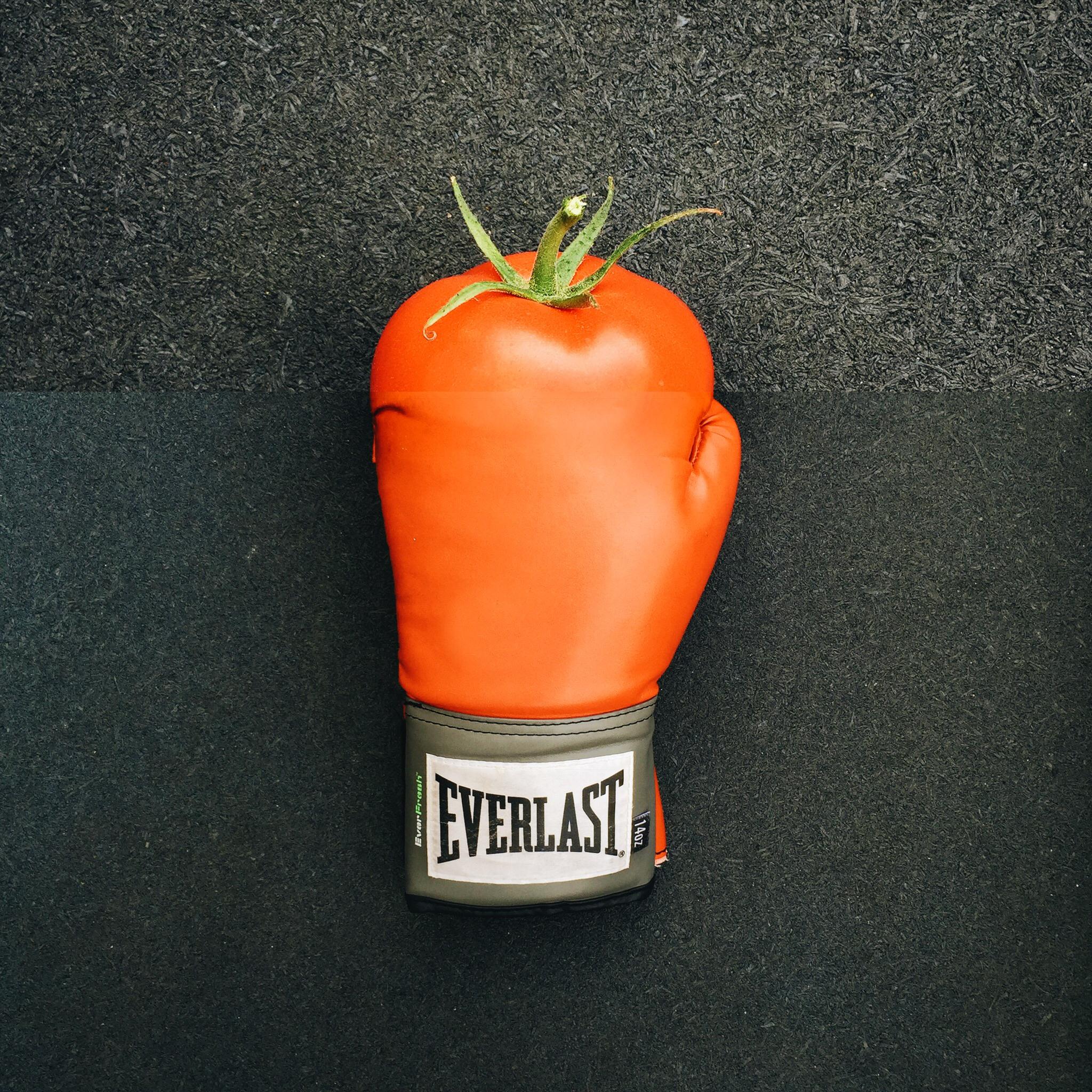 The top of a tomato sprouting from a boxing glove