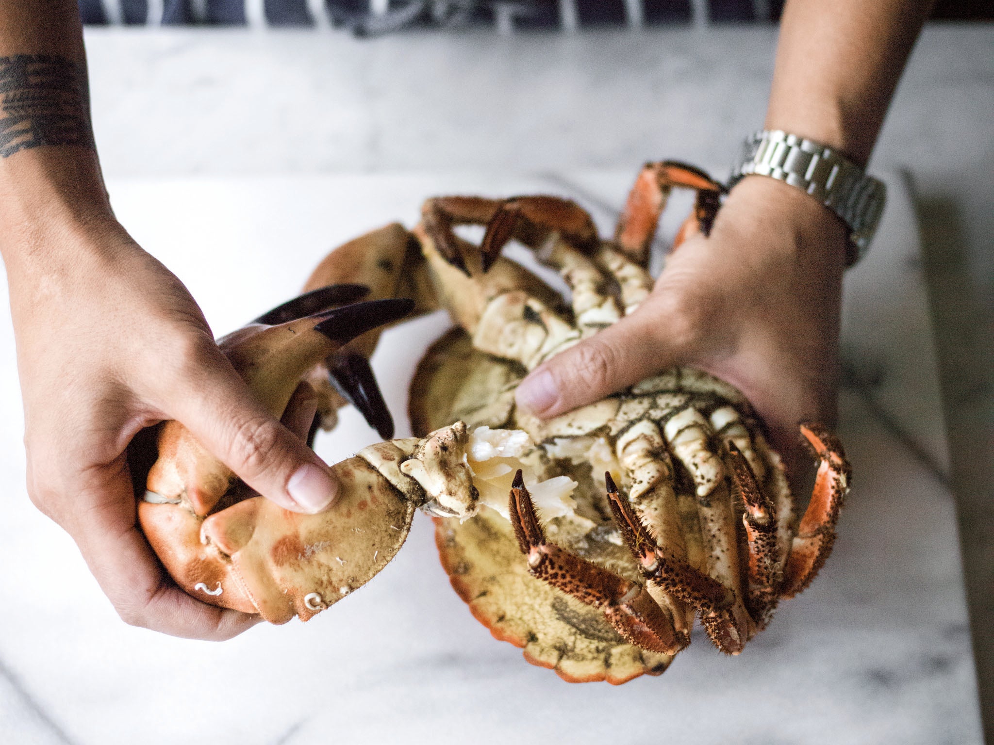 1. Lay the cooked crab on its back, twist off the claws and legs, and set aside